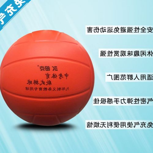 Ballon de volley - Ref 2013273