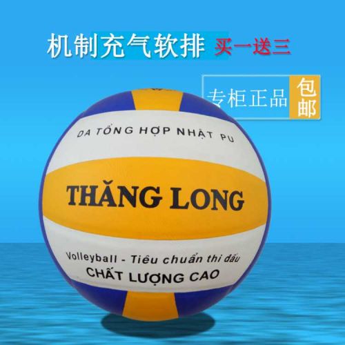 Ballon de volley - Ref 2013306