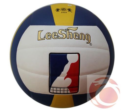Ballon de volley - Ref 2013342