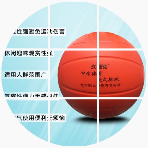 Ballon de volley - Ref 2013348