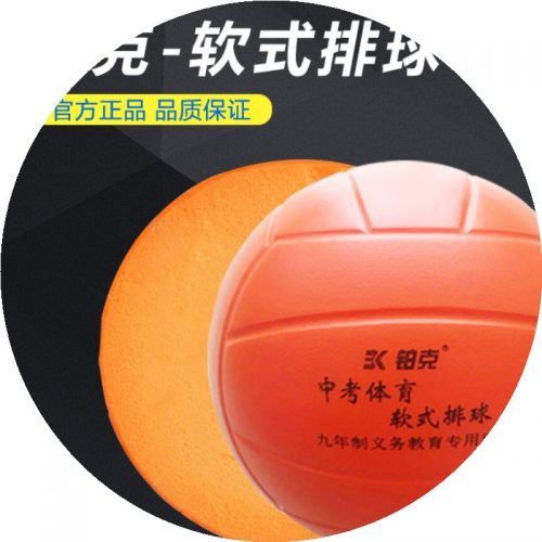 Ballon de volley - Ref 2013351