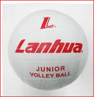 Ballon de volley - Ref 2013430