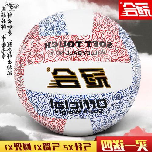 Ballon de volley - Ref 2013449