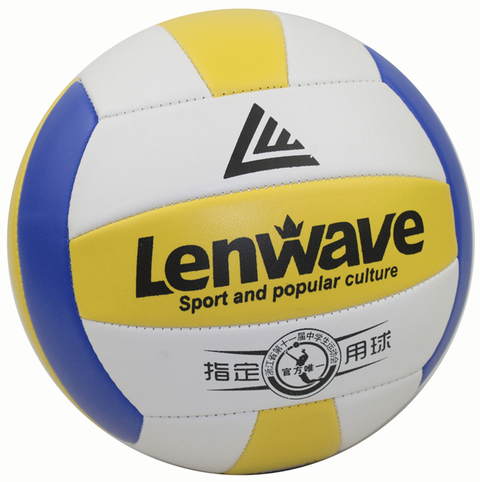Ballon de volley - Ref 2013455