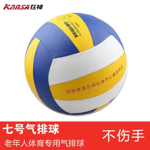 Ballon de volley - Ref 2013490