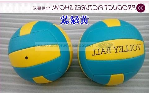 Ballon de volley - Ref 2013505