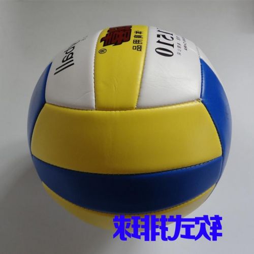 Ballon de volley - Ref 2013506