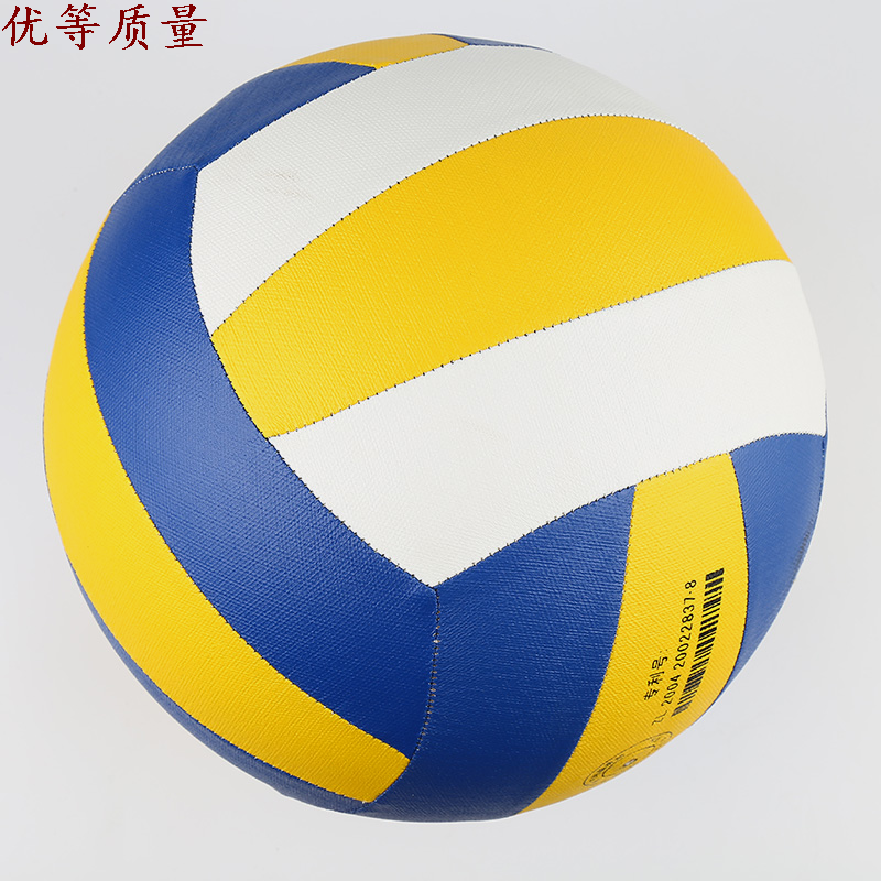 Ballon de volley - Ref 2013510