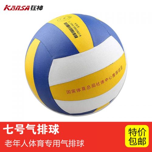 Ballon de volley - Ref 2013513