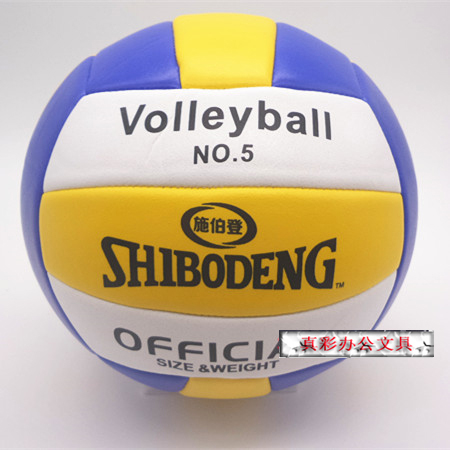 Ballon de volley - Ref 2013538