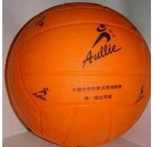 Ballon de volley - Ref 2013548