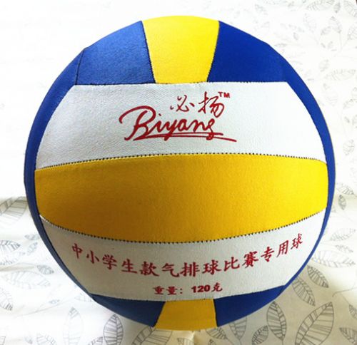 Ballon de volley - Ref 2013551