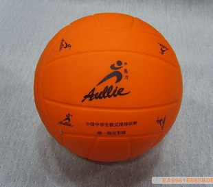 Ballon de volley - Ref 2013552