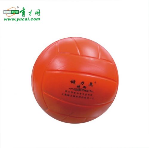 Ballon de volley - Ref 2013558