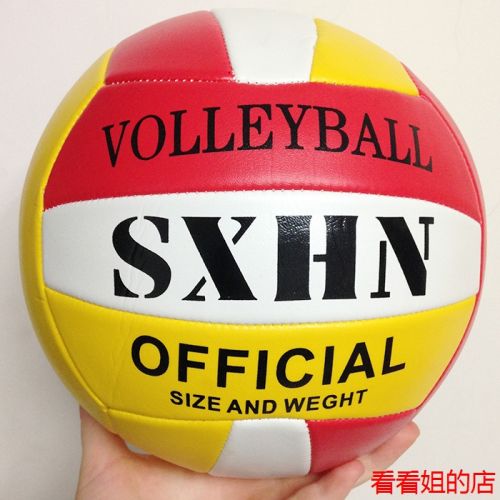Ballon de volley - Ref 2013575