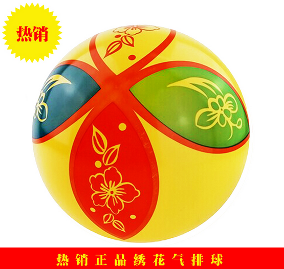 Ballon de volley - Ref 2013619