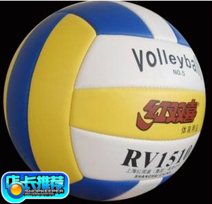 Ballon de volley - Ref 2013621