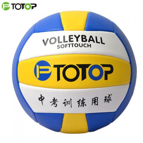 Ballon de volley - Ref 2013660