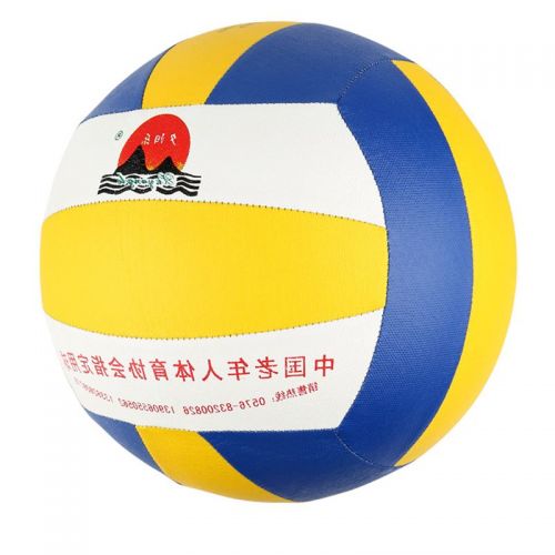Ballon de volley - Ref 2013670