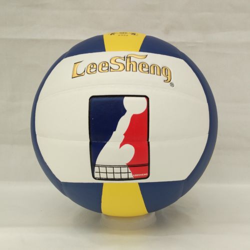 Ballon de volley - Ref 2013722