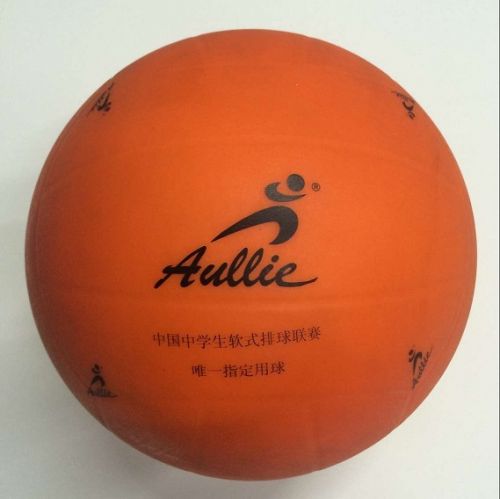 Ballon de volley - Ref 2013763