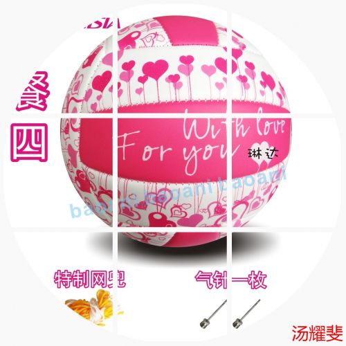 Ballon de volley ANISIA - Ref 2013807