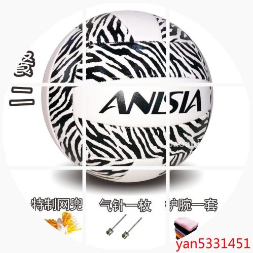 Ballon de volley ANISIA - Ref 2013817