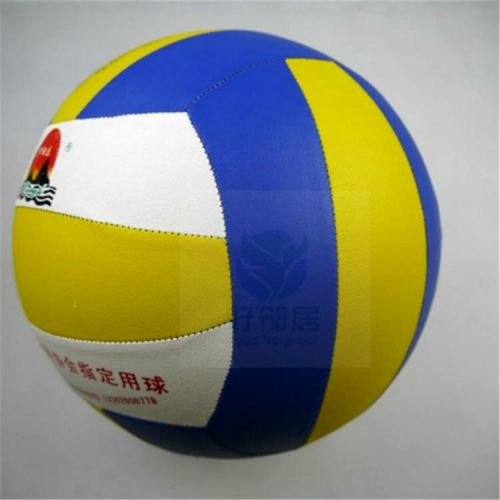 Ballon de volley - Ref 2013828