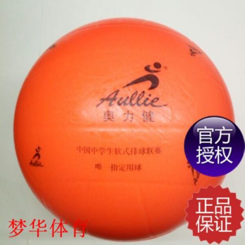 Ballon de volley - Ref 2013864