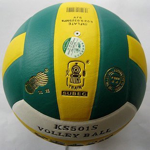 Ballon de volley - Ref 2014332