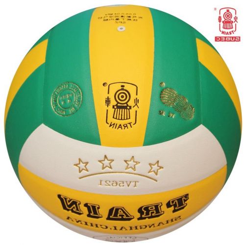 Ballon de volley TRAIN - Ref 2014337
