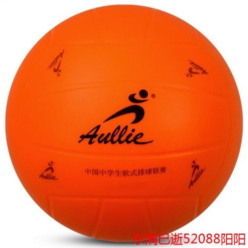 Ballon de volley - Ref 2014439