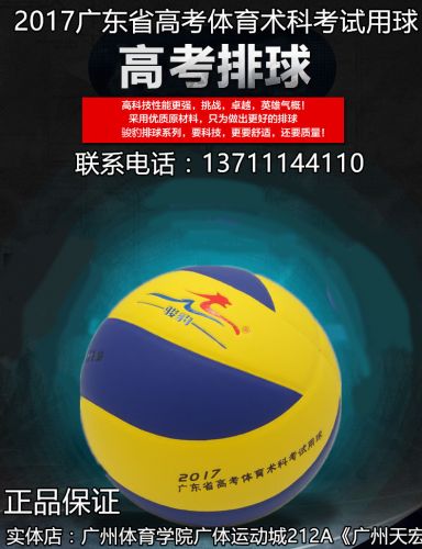 Ballon de volley - Ref 2014490