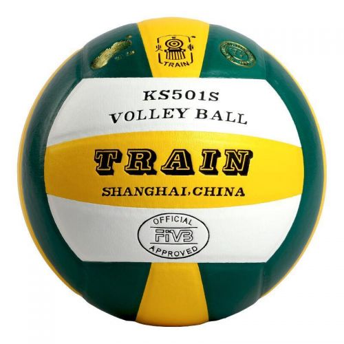 Ballon de volley - Ref 2014500