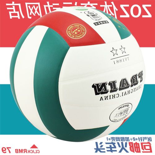 Ballon de volley - Ref 2014509