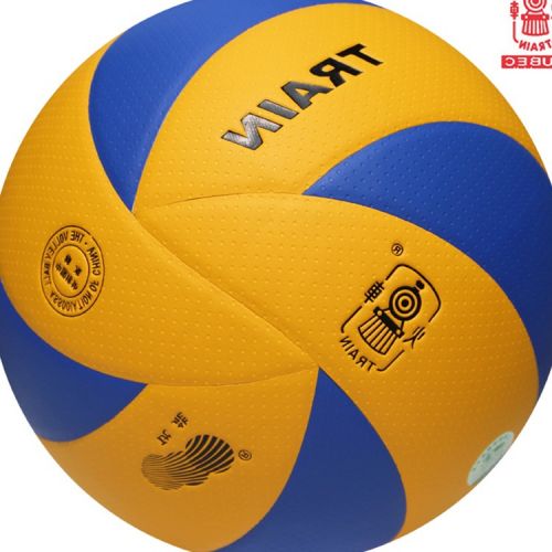 Ballon de volley TRAIN - Ref 2014528