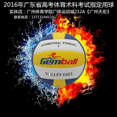 Ballon de volley - Ref 2014708