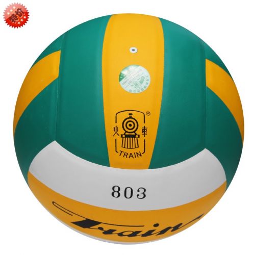 Ballon de volley TRAIN - Ref 2014712
