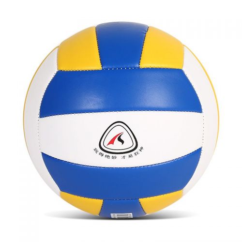 Ballon de volley - Ref 2014728
