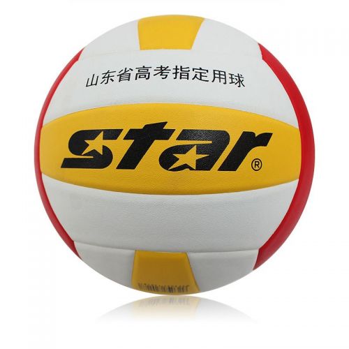 Ballon de volley - Ref 2014772