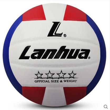 Ballon de volley - Ref 2014821