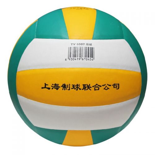 Ballon de volley TRAIN - Ref 2014826