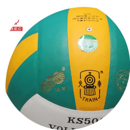 Ballon de volley TRAIN - Ref 2014847