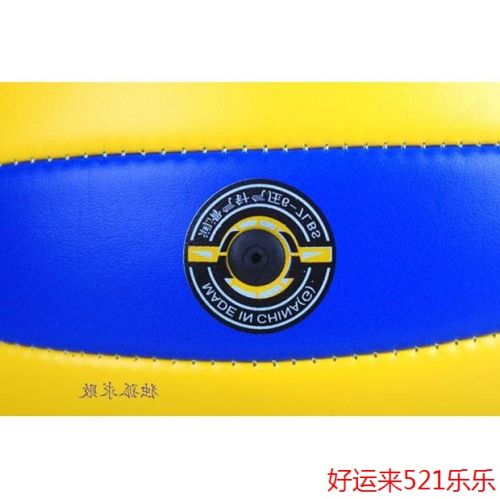 Ballon de volley - Ref 2014927
