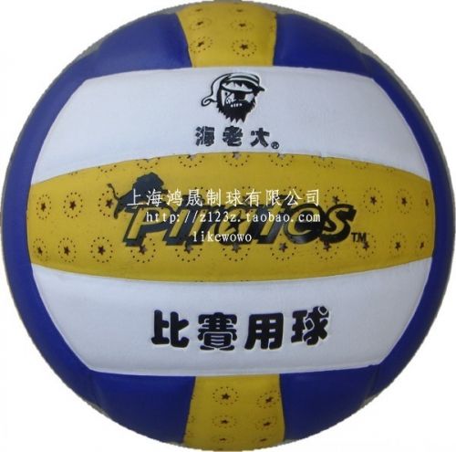Ballon de volley - Ref 2014935