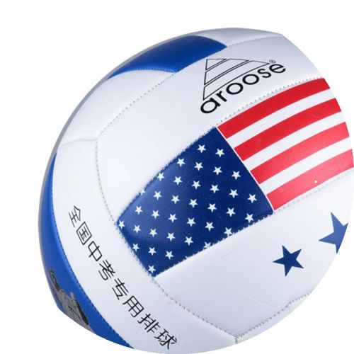 Ballon de volley - Ref 2014941