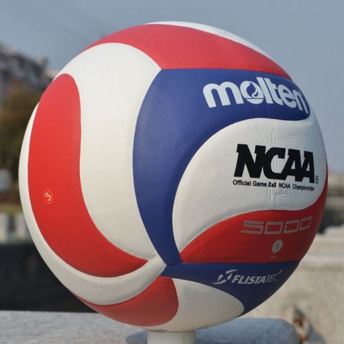 Ballon de volley - Ref 2015022
