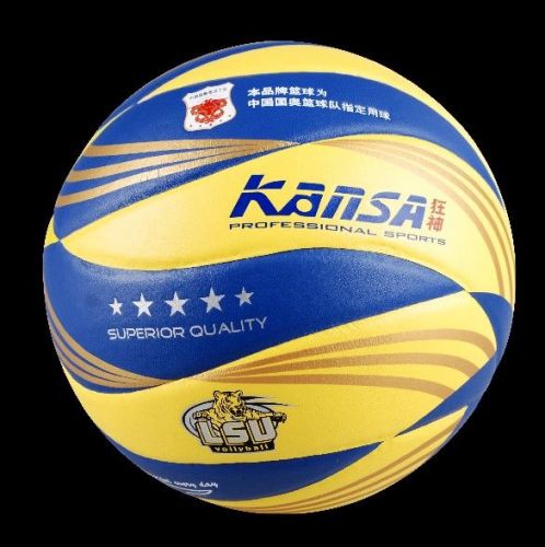 Ballon de volley - Ref 2015043