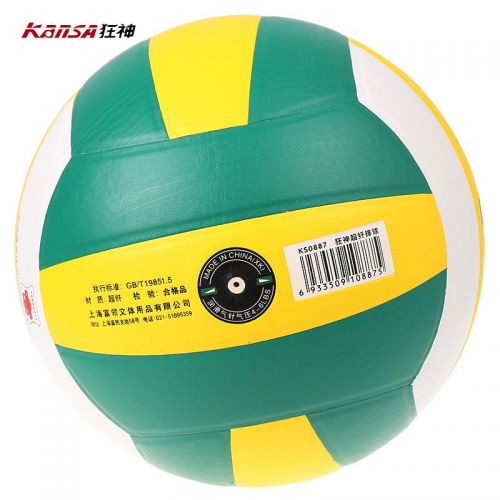 Ballon de volley - Ref 2015057