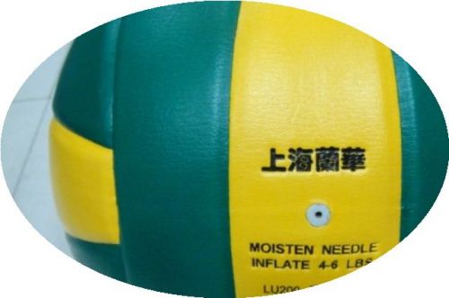 Ballon de volley - Ref 2015116